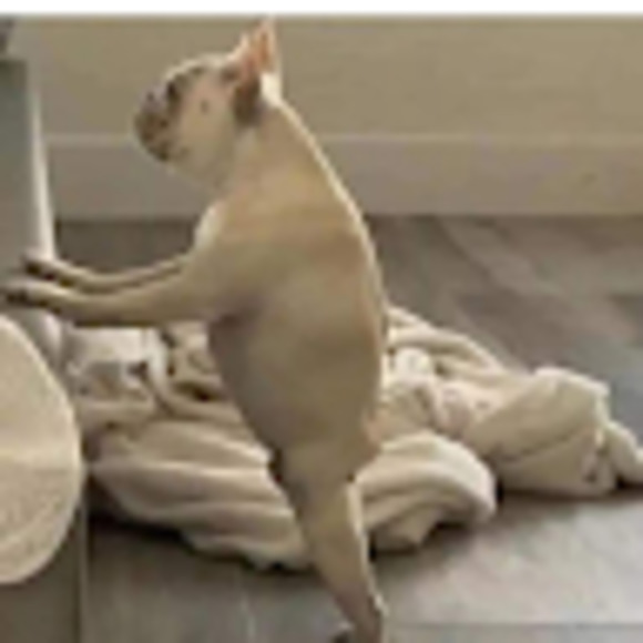 Meet your Posher, Scott - Picture 1 of 1